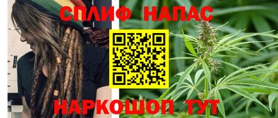 твердый Бийск