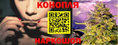 твердый Бийск