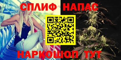 spice Берёзовский