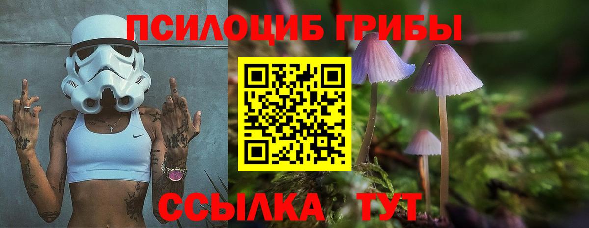Псилоцибиновые грибы ЛСД Изобильный